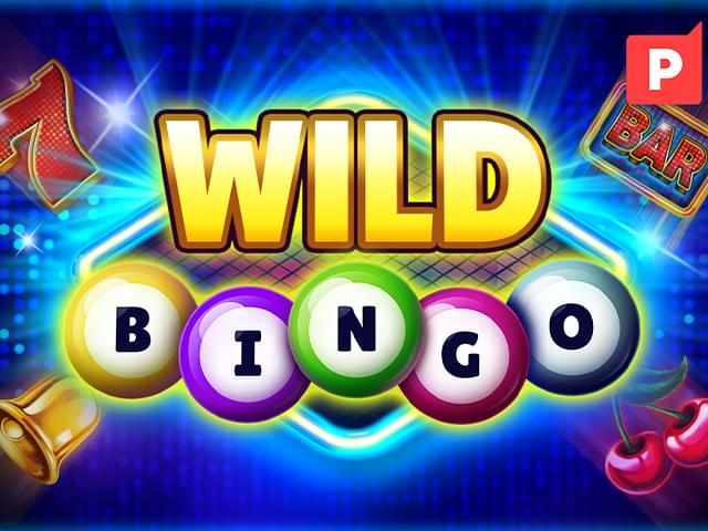 80games Bingo Selvagem